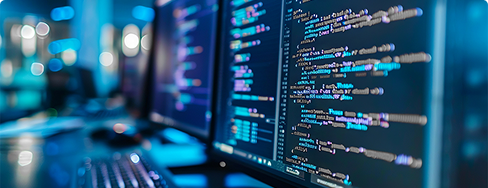 Software development